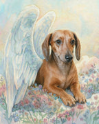 Your Custom Pet Art Kit