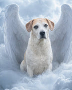 Your Custom Pet Art Kit