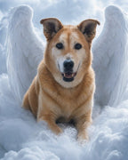 Your Custom Pet Art Kit