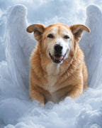 Your Custom Pet Art Kit