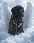 Your Custom Pet Art Kit