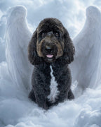Your Custom Pet Art Kit
