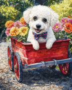 Your Custom Pet Art Kit