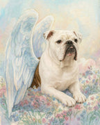 Your Custom Pet Art Kit