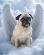 Your Custom Pet Art Kit