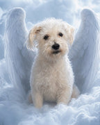 Your Custom Pet Art Kit