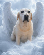 Your Custom Pet Art Kit