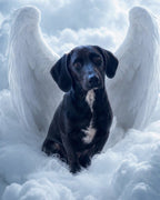 Your Custom Pet Art Kit