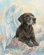 Your Custom Pet Art Kit