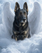 Your Custom Pet Art Kit