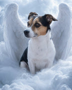 Your Custom Pet Art Kit