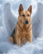 Your Custom Pet Art Kit