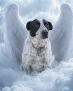 Your Custom Pet Art Kit