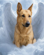 Your Custom Pet Art Kit