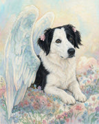 Your Custom Pet Art Kit