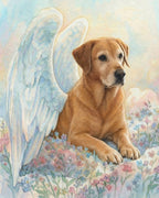 Your Custom Pet Art Kit