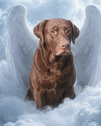 Your Custom Pet Art Kit
