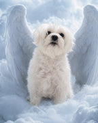 Your Custom Pet Art Kit