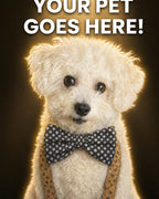 Your Custom Pet Art Kit