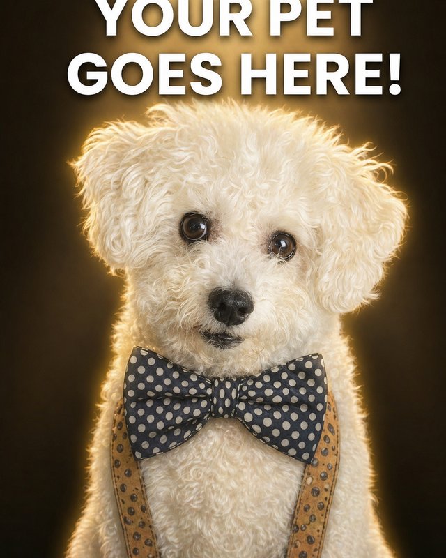 Your Custom Pet Art Kit