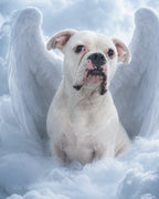 Your Custom Pet Art Kit