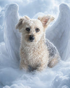 Your Custom Pet Art Kit