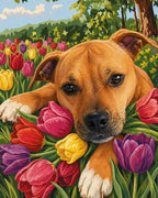 Your Custom Pet Art Kit