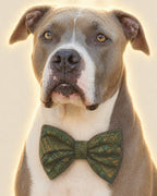 Your Custom Pet Art Kit