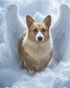 Your Custom Pet Art Kit