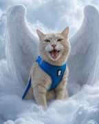 Your Custom Pet Art Kit