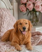 Your Custom Pet Art Kit