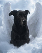 Your Custom Pet Art Kit