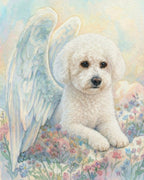 Your Custom Pet Art Kit