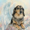 Your Custom Pet Art Kit