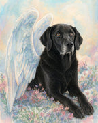 Your Custom Pet Art Kit