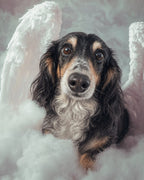 Your Custom Pet Art Kit