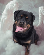Your Custom Pet Art Kit
