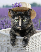 Your Custom Pet Art Kit