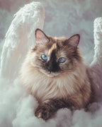 Your Custom Pet Art Kit