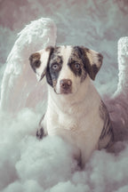 Custom Canvas Print 8x10