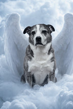 Custom Canvas Print 24x30