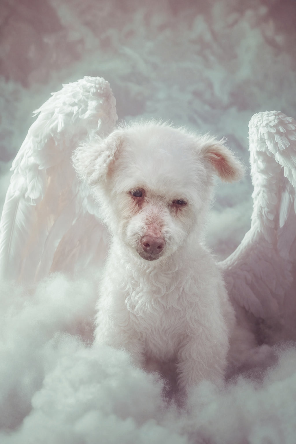 Custom Canvas Print — 24x30