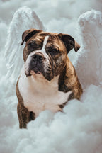 Custom Canvas Print