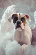 Custom Canvas Print 24x30