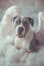 Custom Canvas Print