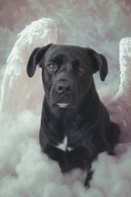 Custom Canvas Print