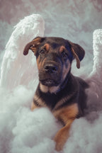 Custom Canvas Print