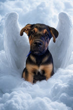 Custom Canvas Print