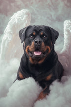 Custom Canvas Print