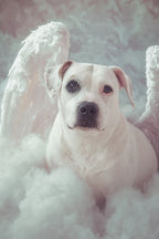 Custom Canvas Print